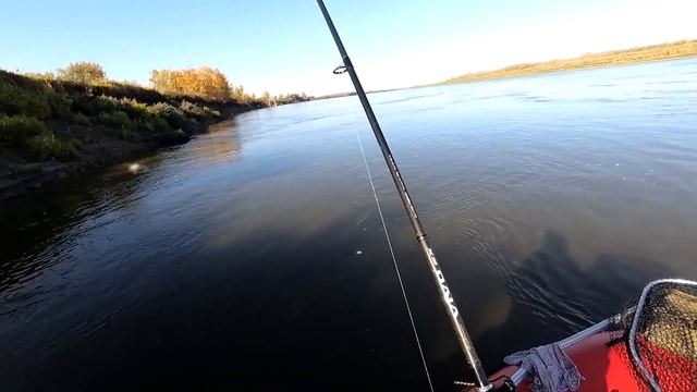 КРУПНЫЙ СУДАК. Рыбалка на реке ОБЬ 2020. Часть 7..mp4 смотреть онлайн