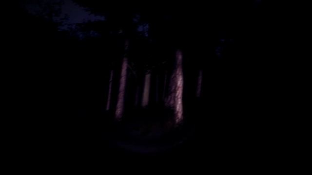 Slender: The Arrival - 2[Классика. Найти восемь записок. Легко!] смотреть онлайн