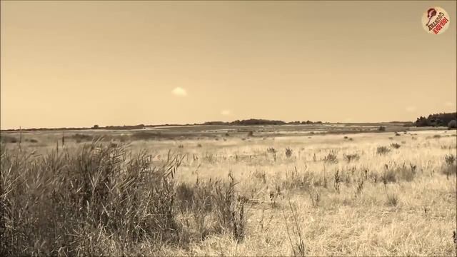 Folk Rock Country Music With Lyrics - Kenny Rogers,John Denver,Cat Stevens,... - Folk Rock Country смотреть онлайн