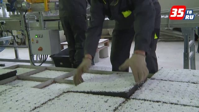 Свыше 17 миллионов саженцев выращиваются в специальных питомниках Вологодской области смотреть онлайн