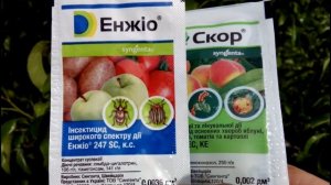 ?☘️? ОСНОВНАЯ ВЕСЕННЯЯ ОБРАБОТКА ГРУШИ ОТ РЖАВЧИНЫ