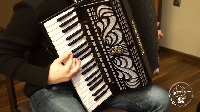 Accordion by Warius: It is time on [ Akordeon - Już czas na ] смотреть онлайн