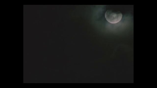 ОШИБКА ИГРОКА и другие баги мышления [КОГНИТИВНЫЕ ИСКАЖЕНИЯ] смотреть онлайн