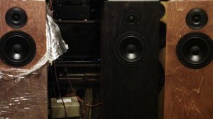 Двухполосная акустика на динамиках ноэма 35гдн62 и 15гдв92.  Симфоническая