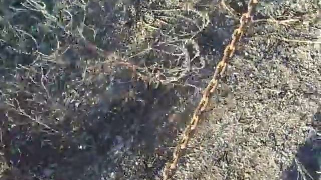 РМЗ-500 с дублированной системой зажигания и редуктором смотреть онлайн