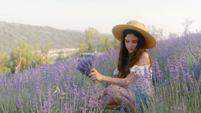 Fairy Flute On A Lavender Field Accompanied By Birds Singing ❤