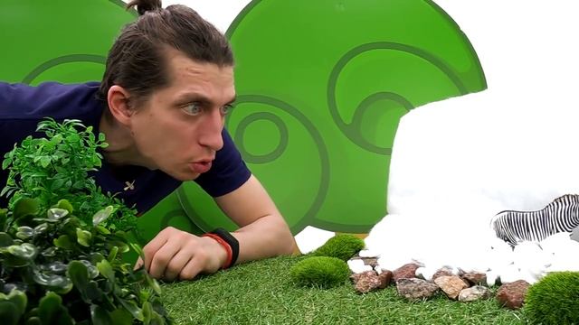 Видео про игры. Обзор игровых набороы. Зоопарк — удивительные животные смотреть онлайн