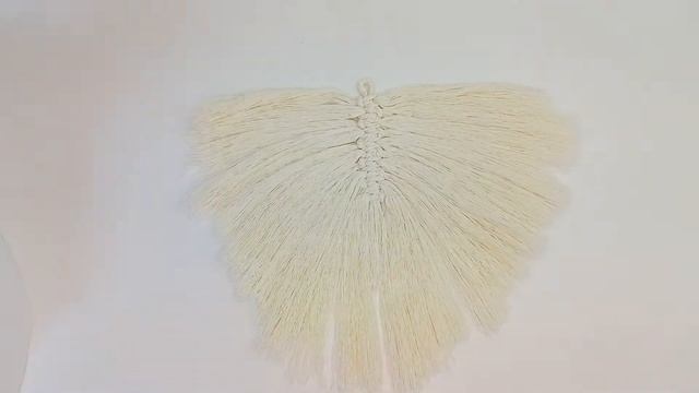 Домовладелец Pro