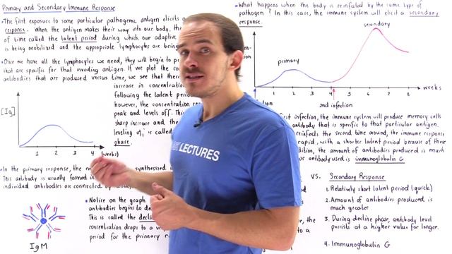 Primary vs. Secondary Immune Response смотреть онлайн