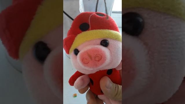 Свинья под дубом мимимишная свинка;) смотреть онлайн