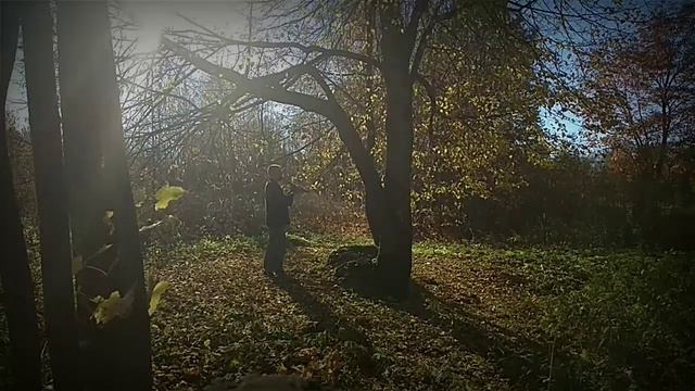 Осенние мотивы. Флейта Сякухати смотреть онлайн