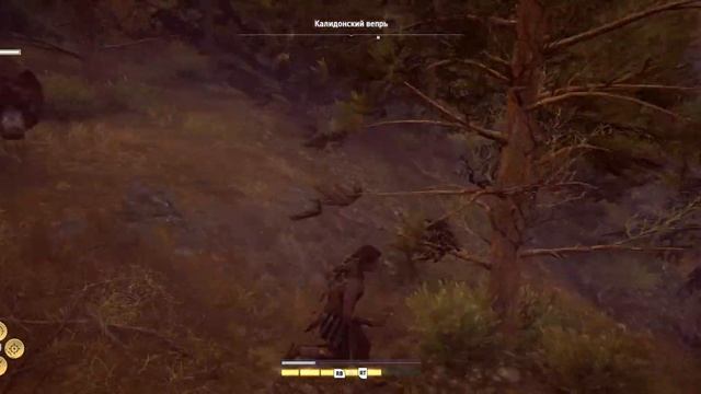 Assassin's Creed Odyssey Калидонский Вепрь (ур. Кошмар) смотреть онлайн