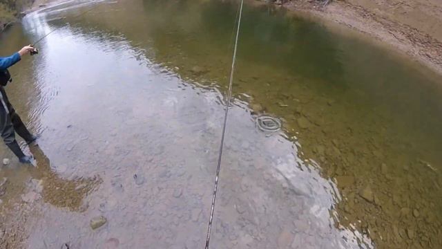 Кетовый беспредел. смотреть онлайн