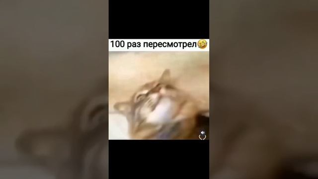100 раз пересмотрел!!!))) смотреть онлайн