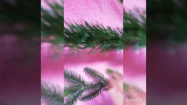 Купить литую (силиконовую) елку. В чем отличие? Что значит? смотреть онлайн