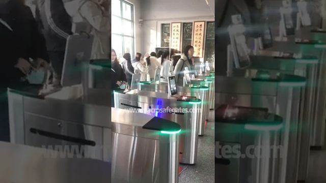 flap barrier gate with face recognition смотреть онлайн