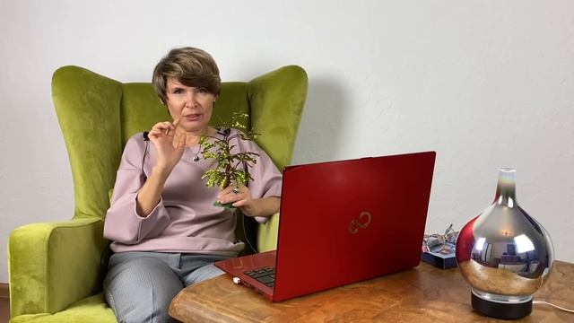 Фатальна ли ваша судьба? Все предрешено? смотреть онлайн