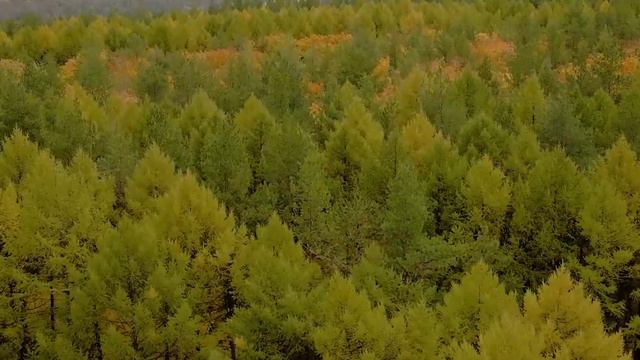 Наш Телеграм - @copterfly смотреть онлайн