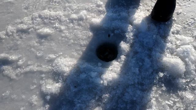 Пока виноград спит, мы отдыхаем на Щучьем озере.Волгоградская область 2023. смотреть онлайн