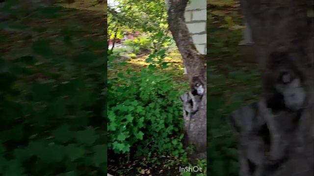 Живу не тужу😛 смотреть онлайн