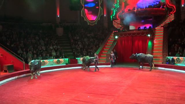 «Буйволы и медведи» п/р Серго Самхарадзе смотреть онлайн