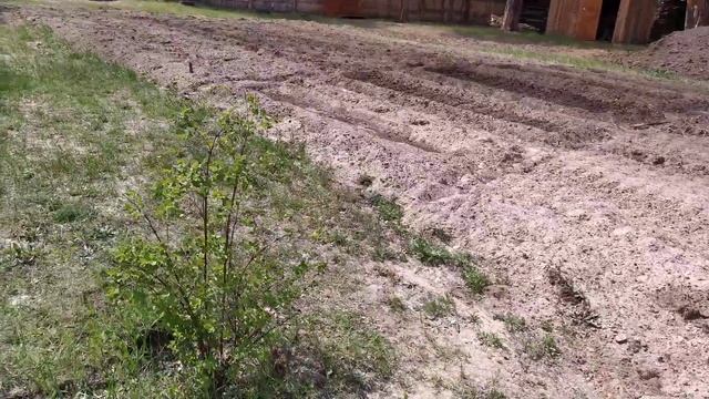 Как поливать огород, если нет водопровода? смотреть онлайн