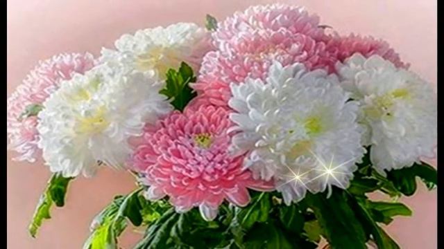 THE MOST NICE FLOWERS FOR YOU ! смотреть онлайн