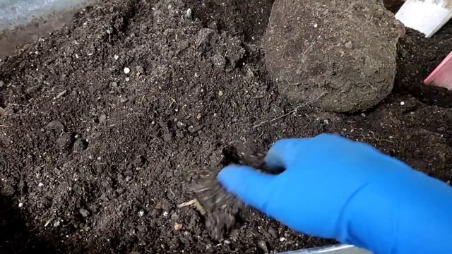 Маленькие хитрости вторичного использования грунта. смотреть онлайн