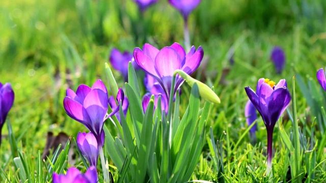 В тиши собственного сердца сосредоточить все свое внимание НА СЕБЕ