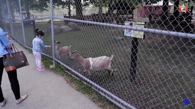 安省-基秦拿-滑鐵盧 Ontario-Kitchener, Waterloo смотреть онлайн