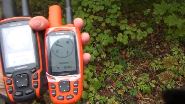 Америка против Европы, Garmin Astro vs Alpha смотреть онлайн
