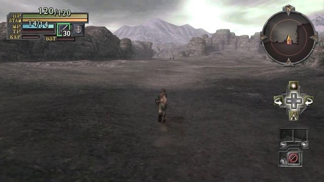 Valhalla Knights: Eldar Saga (Wii) смотреть онлайн