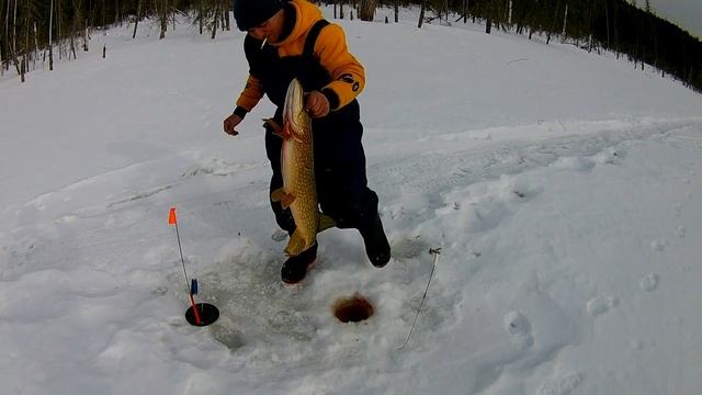 Удачная рыбалка