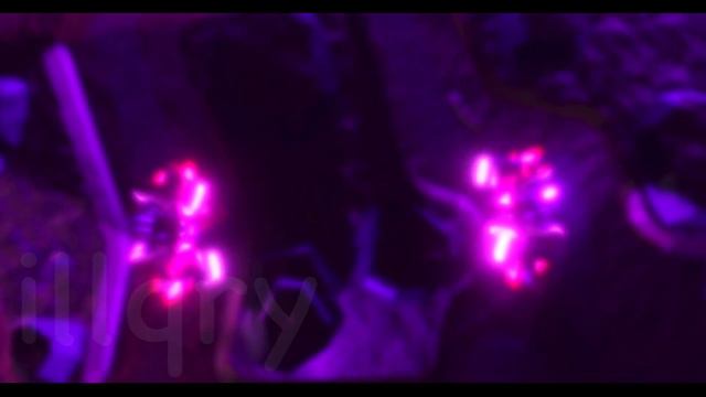 Raze The Void! [TDS Animation] смотреть онлайн