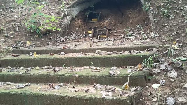 Yamashita Gold bars natuklasan sa tagong lugar смотреть онлайн