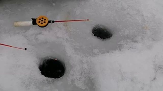 Рыбалка на реке Хопёр . Клюёт как из пулемета , правда мелкокалиберный . Видео отчет за 07.01.2021 смотреть онлайн