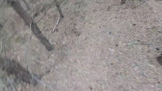 Поход за грибами в мае!!! смотреть онлайн