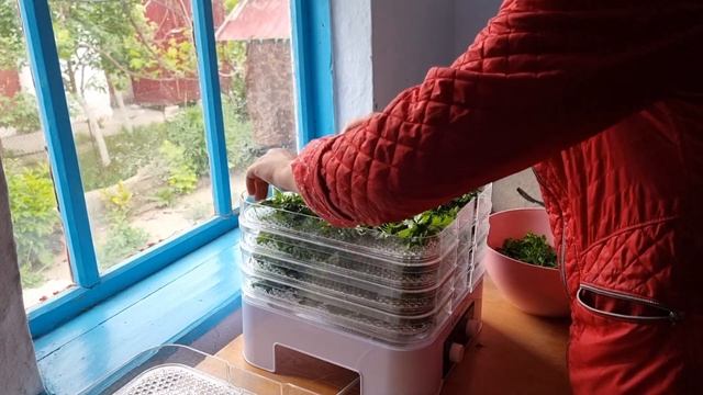 Я его нашла! Самый лучший и быстрый способ сушки зелени на зиму смотреть онлайн