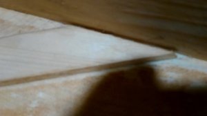 Гусли изнутри - 2.mp4