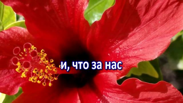 Благодарим, Господь, Караоке смотреть онлайн