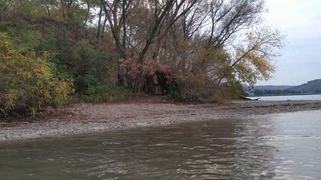 Открытие на утку Молдова с. Оксентя р. Днестр 05.10 19 смотреть онлайн