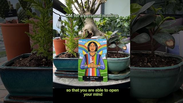 Your oracle card of the day - Two Spirit смотреть онлайн