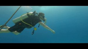 Мальдивы. Погружение с аквалангом. Malahini Kuda Bandos Resort / Maldives. Scuba diving.