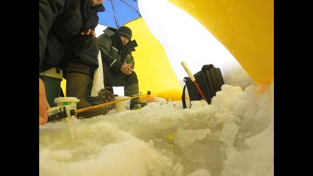 Ловля плотвы для живца, река Яйва... Как из пулемета...Удочки без дела не стояли... смотреть онлайн