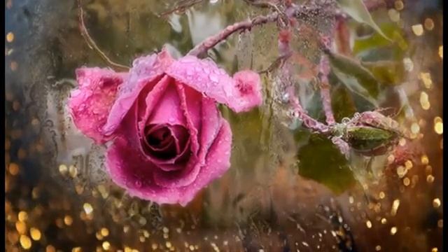 ОЧАРОВАТЕЛЬНЫЙ_стих_И.Самариной_читает_НАДЕЖДА_ФЕСАЙ?ТЫ_ЗНАЕШЬ,Я_ЛЮБЛЮ_ТЕБЯ_ДОЖДЯМИ?.mp4 смотреть онлайн