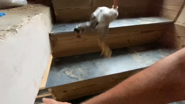 3 bahadur Le Leay? смотреть онлайн