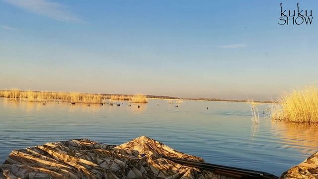 ВЕСЕННЯЯ ОХОТА. Попали на шикарную погоду и добыли уточку для нового рецепта. 2021. смотреть онлайн