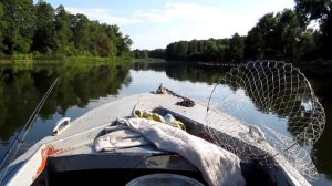 Москва-М на Казанке