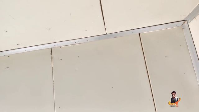 Alang Market |Alang Puf Panel Market |Alang Gujarat |Alang Second Market |#Mukeshvlogs