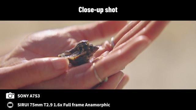 SIRUI 75mm T2.9 1.6x Full-frame Anamorphic Lens Test Footage